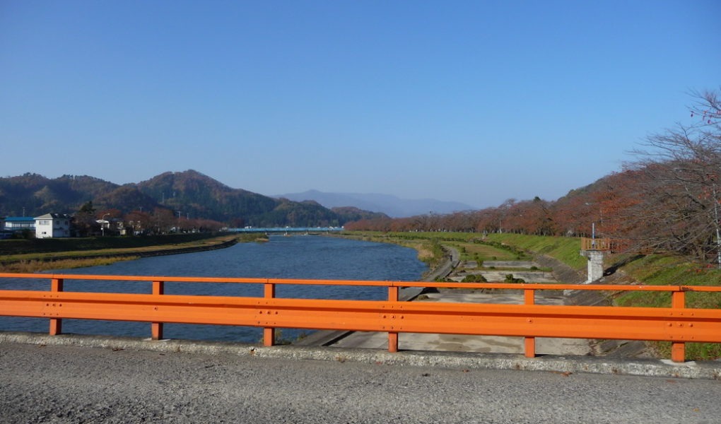 Вид с моста на аллею сакур